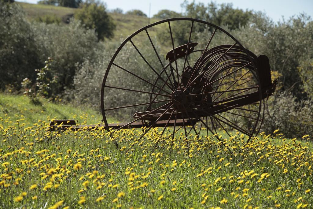 Agriturismo San Giusto Montiano  Exterior photo